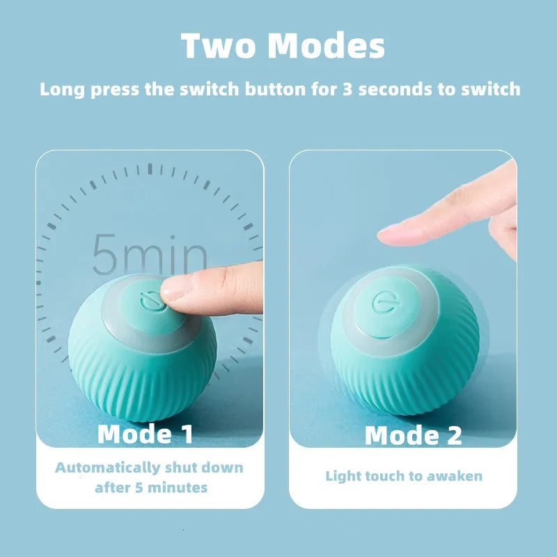 Smart Cat Ball Toy